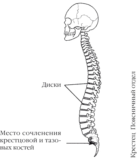 Странности нашей эволюции