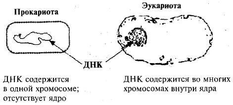 Пять нерешенных проблем науки