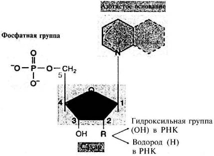 Пять нерешенных проблем науки