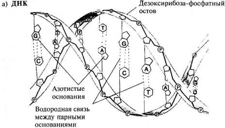 Пять нерешенных проблем науки