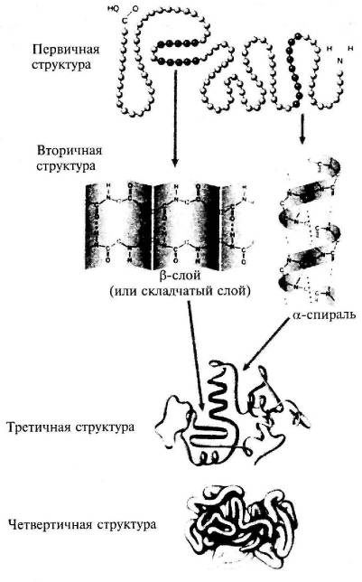 Пять нерешенных проблем науки