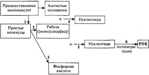 Пять нерешенных проблем науки