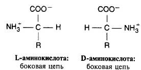 Пять нерешенных проблем науки