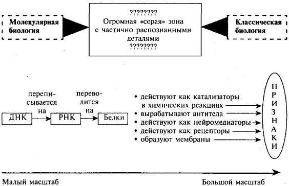 Пять нерешенных проблем науки