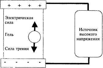 Пять нерешенных проблем науки