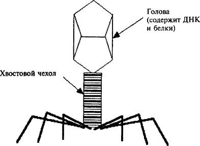 Пять нерешенных проблем науки