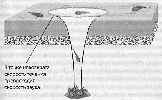 Битва при черной дыре. Мое сражение со Стивеном Хокингом за мир, безопасный для квантовой механики