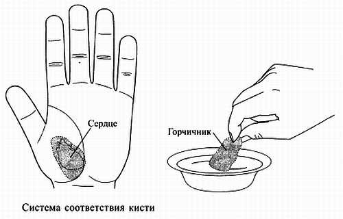 Сам себе Су Джок доктор