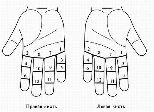 Сам себе Су Джок доктор