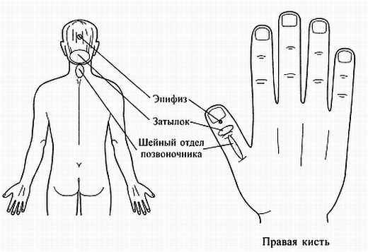 Сам себе Су Джок доктор