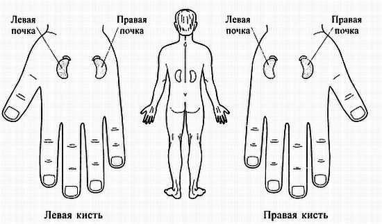 Сам себе Су Джок доктор