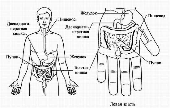 Сам себе Су Джок доктор