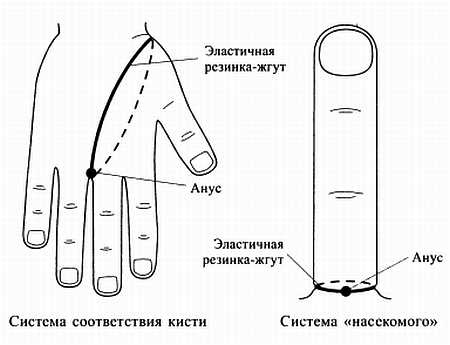 Сам себе Су Джок доктор