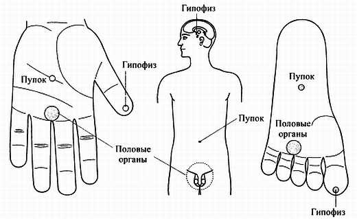 Сам себе Су Джок доктор