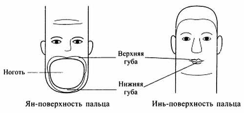 Сам себе Су Джок доктор