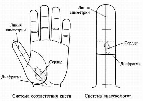 Сам себе Су Джок доктор