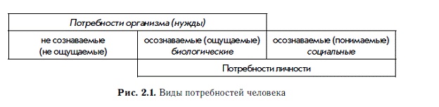 Мотивация и мотивы