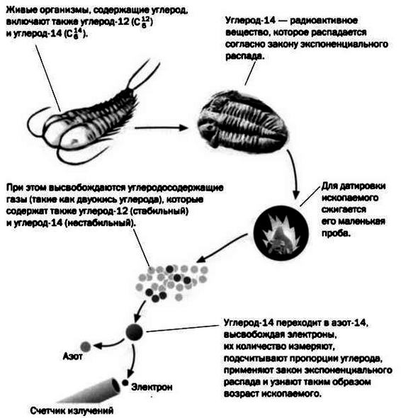 Ферми. Ядерная энергия