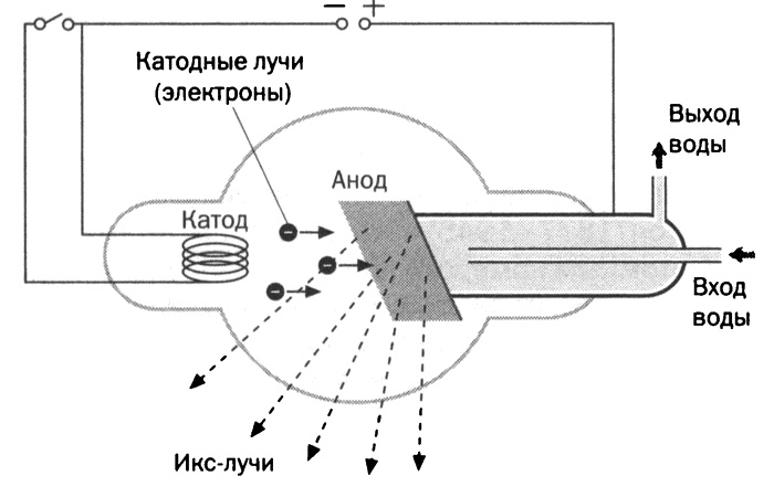 Мария Кюри. Радиоактивность и элементы