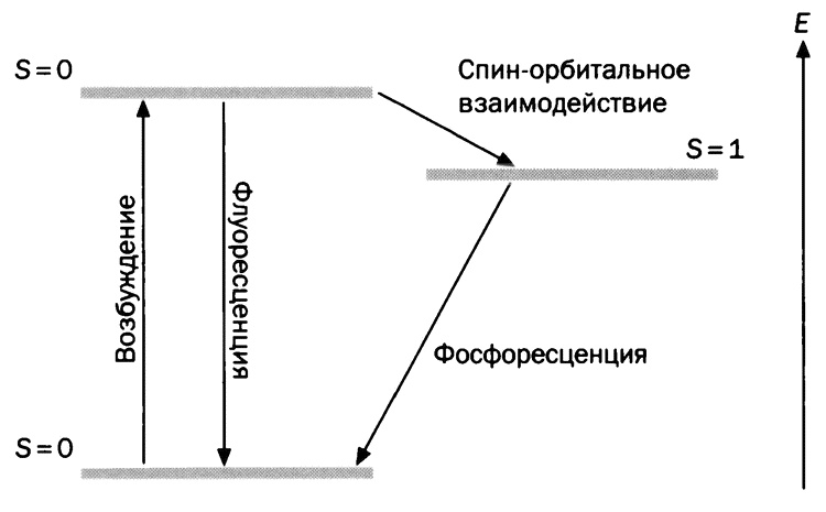 Мария Кюри. Радиоактивность и элементы