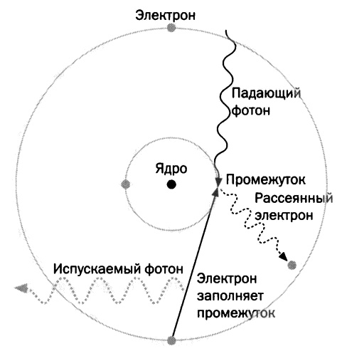 Мария Кюри. Радиоактивность и элементы