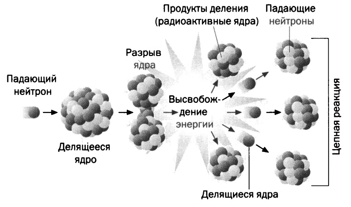 Мария Кюри. Радиоактивность и элементы