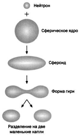 Лиза Мейтнер. Расщепление ядра