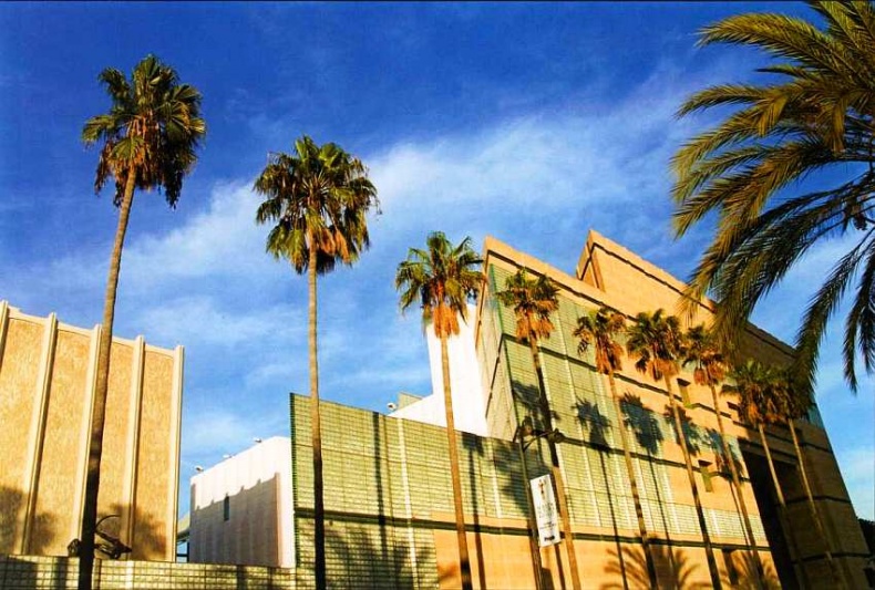 Лос-Анджелесский окружной музей искусств