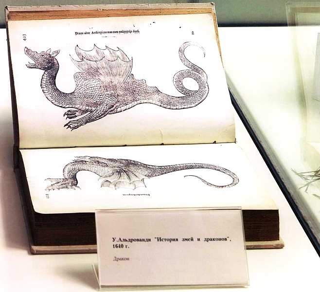 Государственный Дарвиновский музей Москва