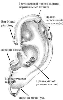 Энциклопедия Пирсинга. Настольная книга мастера и клиента