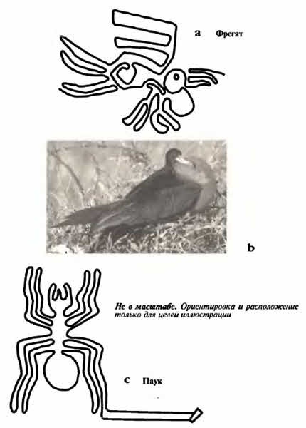 Белые божества инков