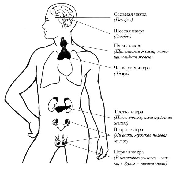 Чакры. Полная энциклопедия