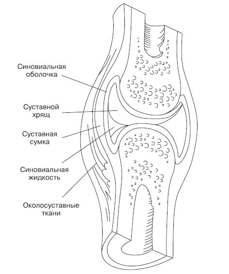 Лечение и чистка суставов. Классические и нетрадиционные методы