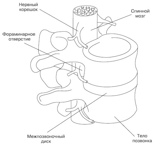 Лечение и чистка суставов. Классические и нетрадиционные методы