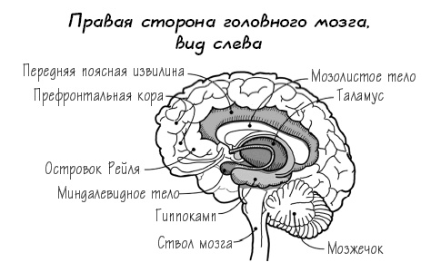 Вне зоны доступа. Как не потерять контакт с ребенком в переходном возрасте