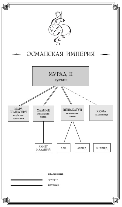 Моя душа темнеет