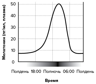 Зачем мы спим. Новая наука о сне и сновидениях