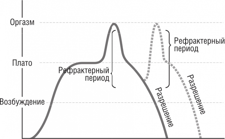 ОН. Интимный разговор про тот самый орган