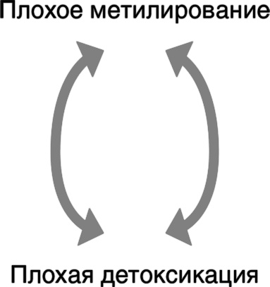 Грязные гены. "Большая стирка" для вашей ДНК. Как изменить свою наследственность