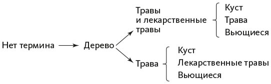 Организованный ум