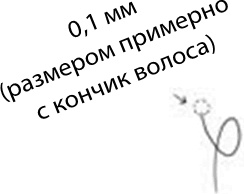 280 дней до вашего рождения. Репортаж о том, что вы забыли, находясь в эпицентре событий