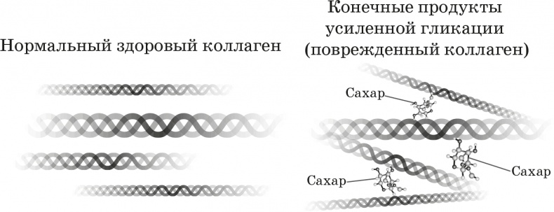 Как обмануть возраст