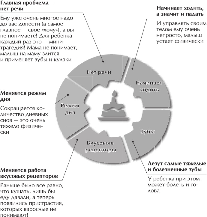 Главная книга о воспитании. Как здорово быть с детьми