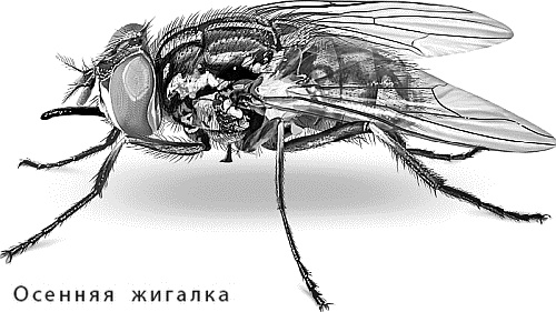 Лесная сказка. С вопросами и ответами для почемучек