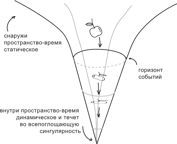 Маленькая книга о черных дырах