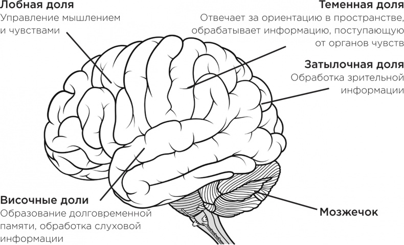 Забывчивость - мое второе ... что-то там. Как вернуть то, что постоянно вылетает из головы