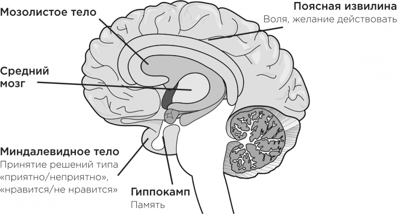 Забывчивость - мое второе ... что-то там. Как вернуть то, что постоянно вылетает из головы