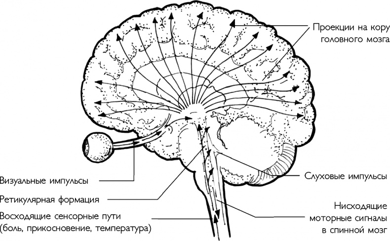 Ответ. Проверенная методика достижения недостижимого 