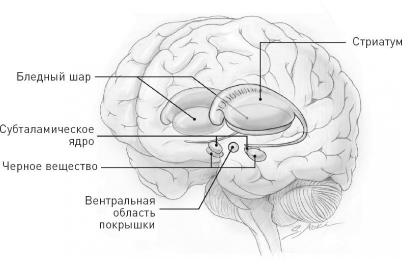 Голодный мозг. Как перехитрить инстинкты, которые заставляют нас переедать