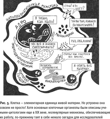 Кривое зеркало жизни. Главные мифы о раке, и что современная наука думает о них